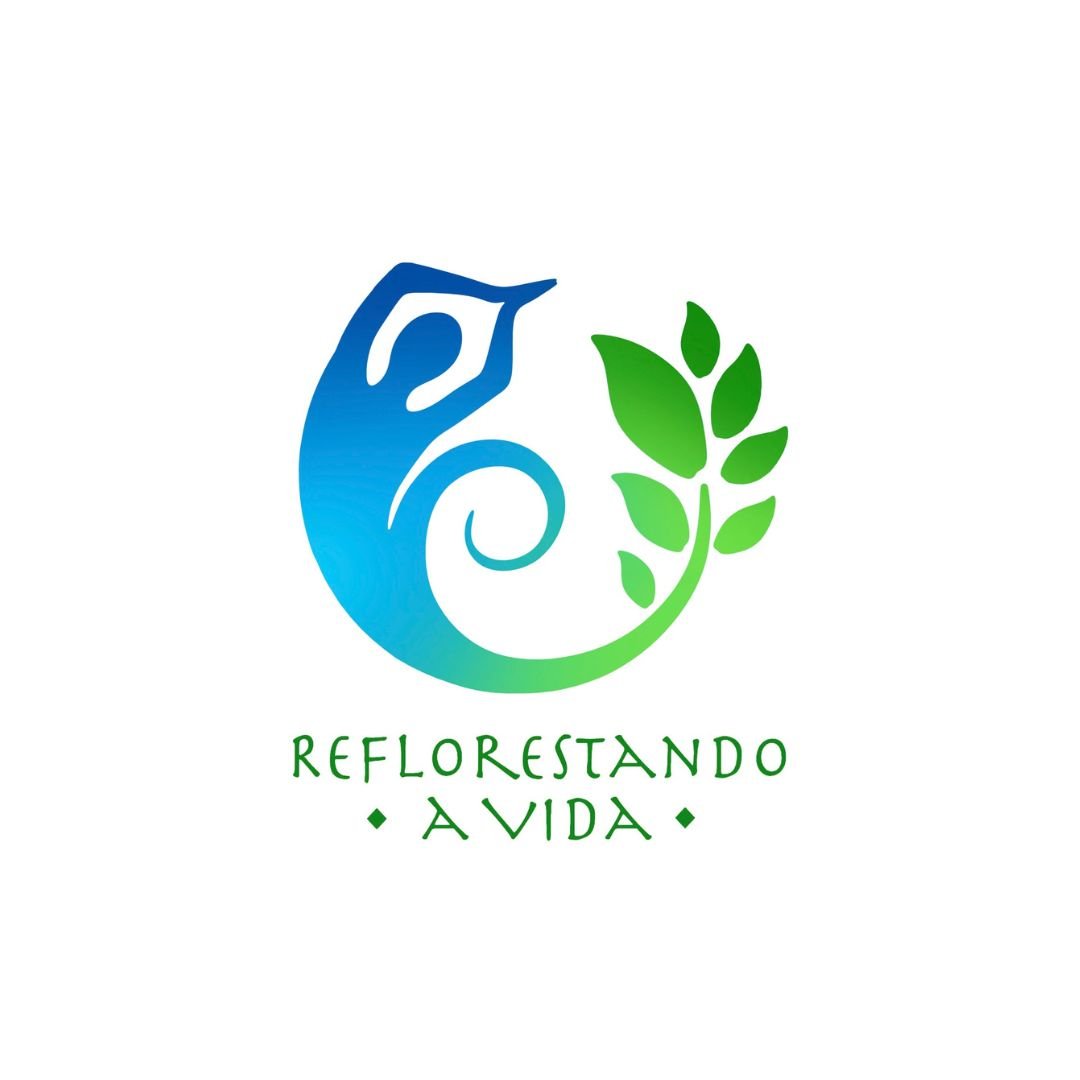 Início 3 2